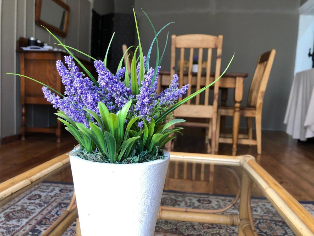 The Lavender Guesthouse Kroonstad Zewnętrze zdjęcie